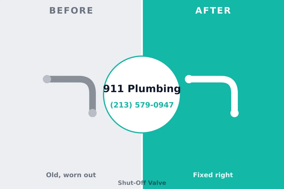 Before and after: plumbing repair South Bend, WA
